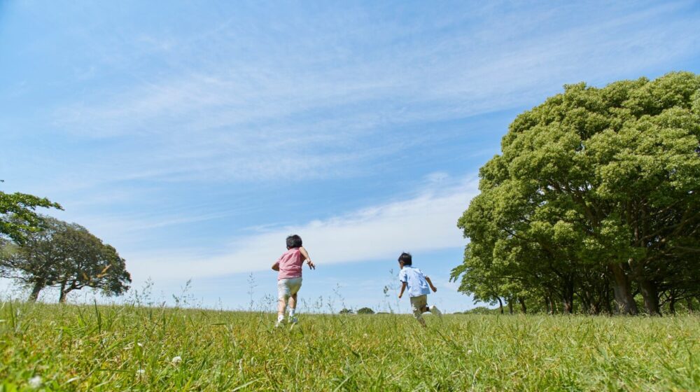 公園で駆け回る兄弟